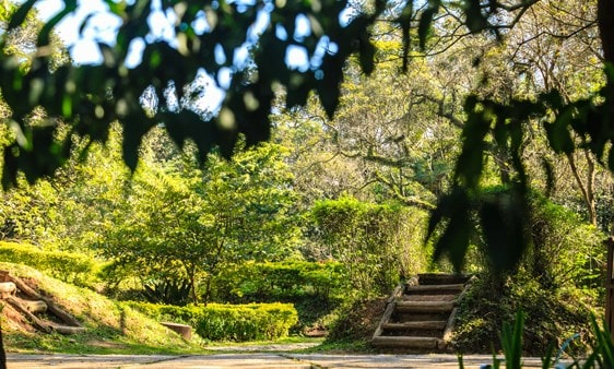Vivaz jardim Prudência